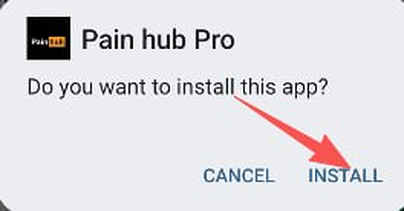 Screenshot for step 6: Install «Pain hub Pro»
