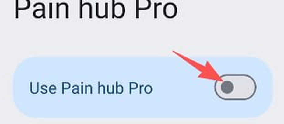 Screenshot for step 9: Turn on «Use Pain hub Pro»